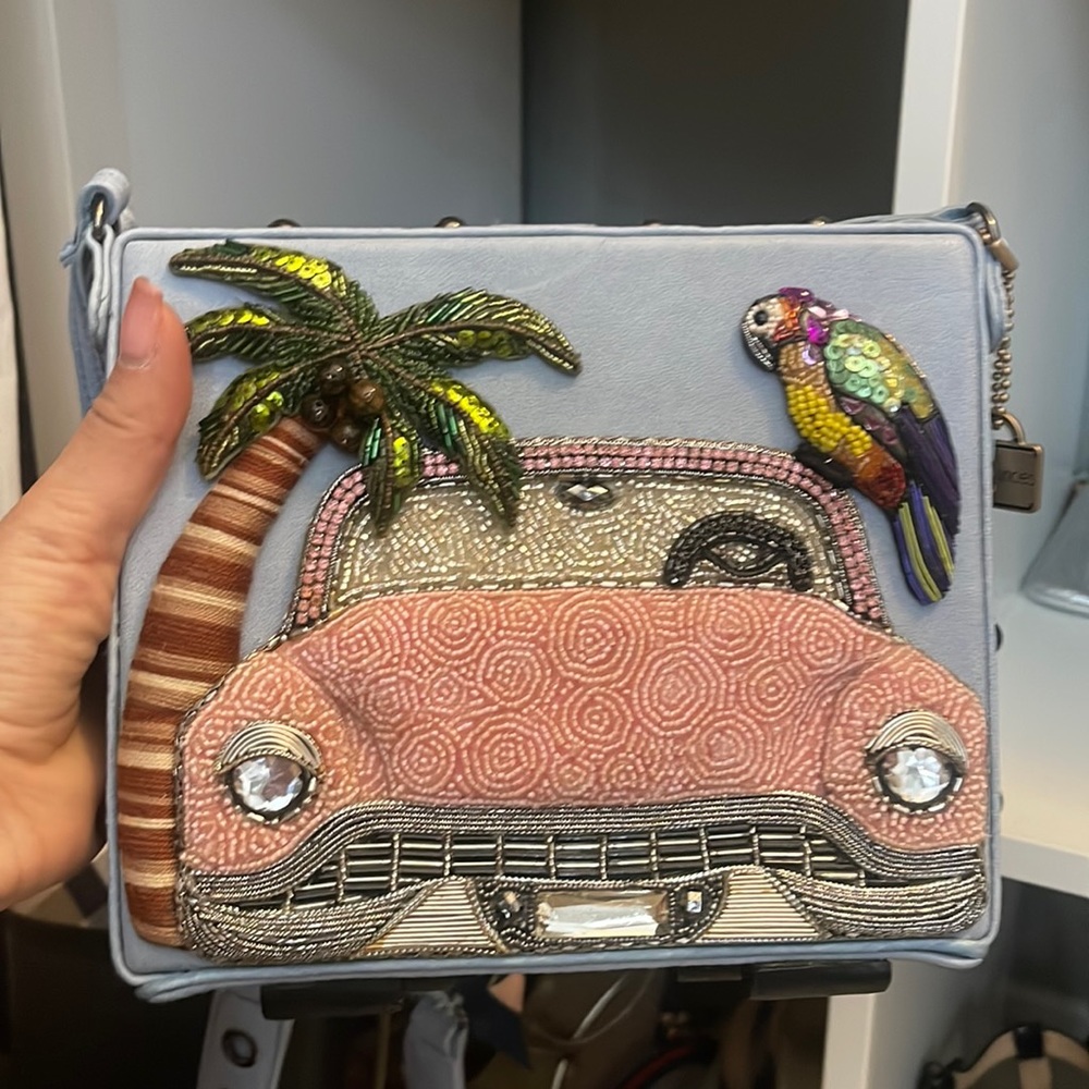 Mary Frances cross body